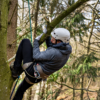 Træklatring - Hansted Skov - 26/04/26 @ 10:00 - 13:00