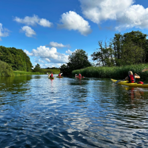 Kajaktur - Mossø og Gudenåen