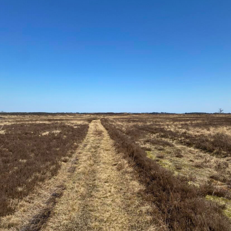 Vandretur - Randbølhede og Syvårssøerne 10 km - KlubUd