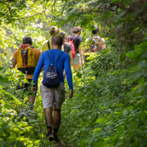 Vandretur - Tisvilde Hegn 12 km - 09/11/25 @ 10:00 - 14:00