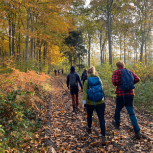 Månedens tur - Efterårsvandring rundt om Bølling Sø