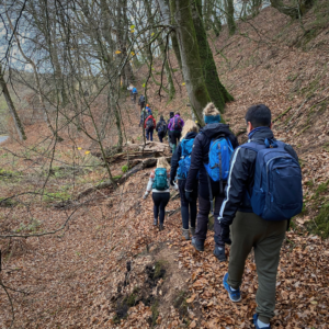 Månedens tur - Vandre og badetur i Silkeborg Sønderskov
