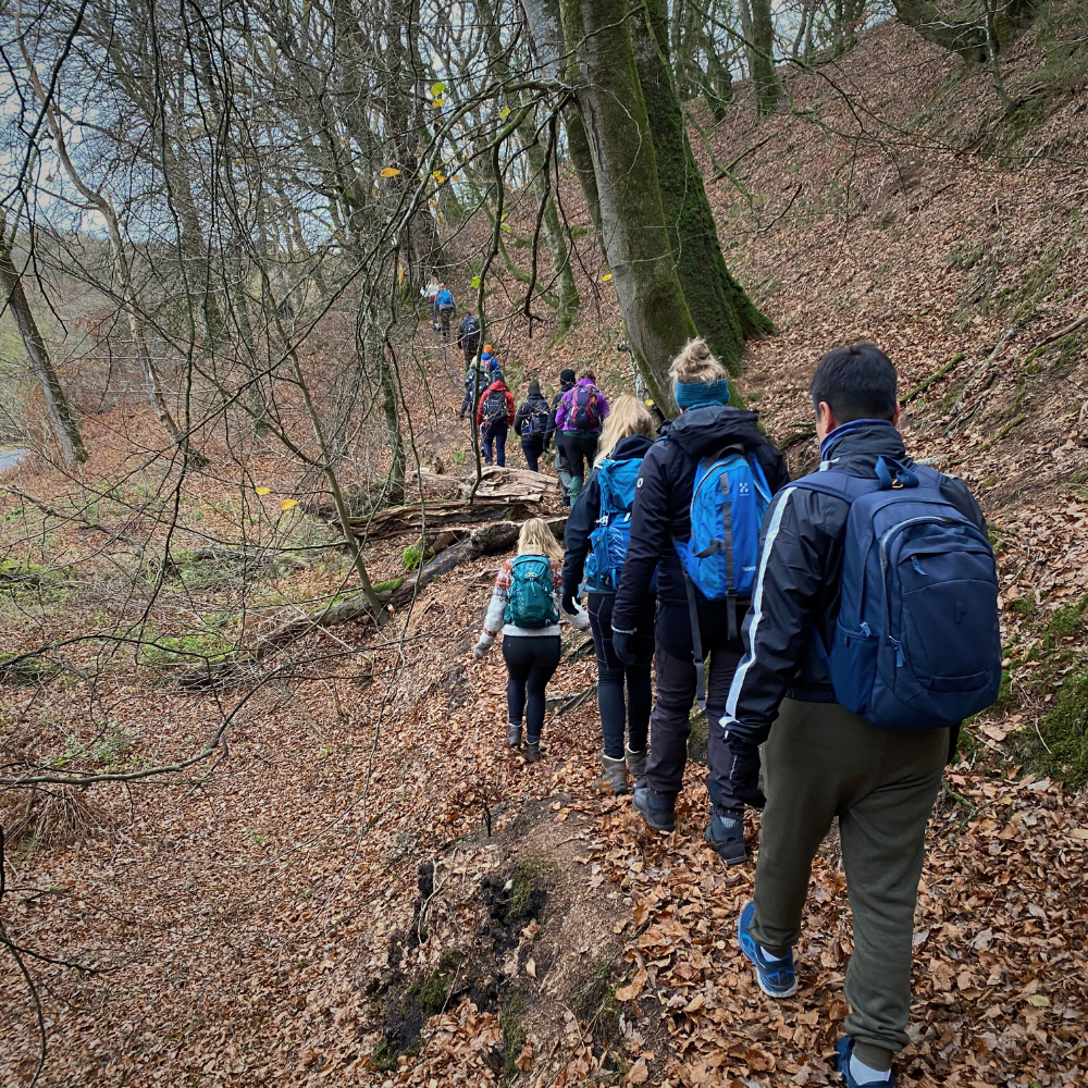 Vandretur Sønderskov