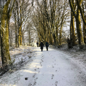 Bjergbestigning i Rudeskov