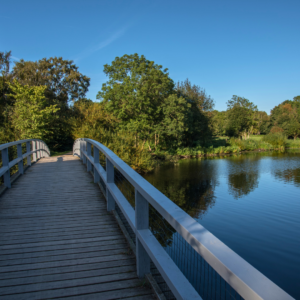 På opdagelse ved Utterslevmose