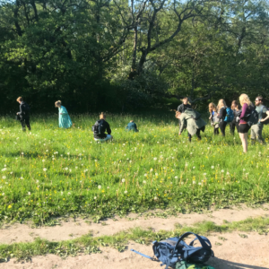 Sank skov og kyst - Boserup