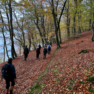 Vandretur Klostermølle og Sukkertoppen - Månedens tur november