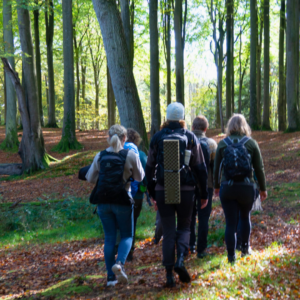 Efterårsvandring i Boller Skovene - Månedens tur oktober