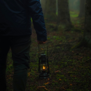 Vandretur i den mørke skov - Månedens tur november - 12/11/25 @ 19:00 - 21:00