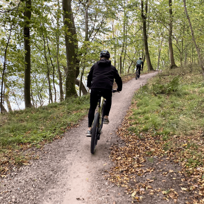 mountainbike damen centurion Backfire R800i EQ * SELECT SIZE *:[XL] Bremsscheiben schleifen an Rahmen handcarvedskull