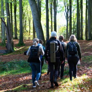 Vandretur i Fløjstrupskov med havdyb