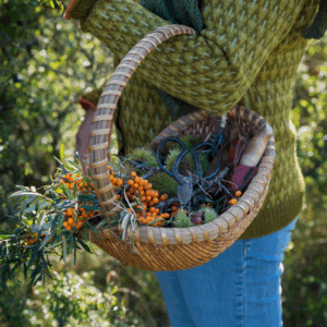 Efterårsvandring med sankning - Månedens tur i oktober
