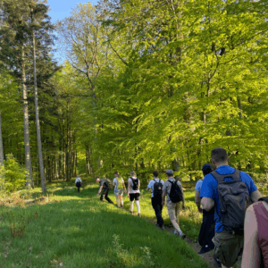Skovtur med stillevandring - Månedens tur maj - 19/05/26 @ 16:00 - 19:00