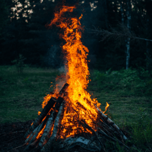 Midsommer i hørhaven - Månedens tur i juni