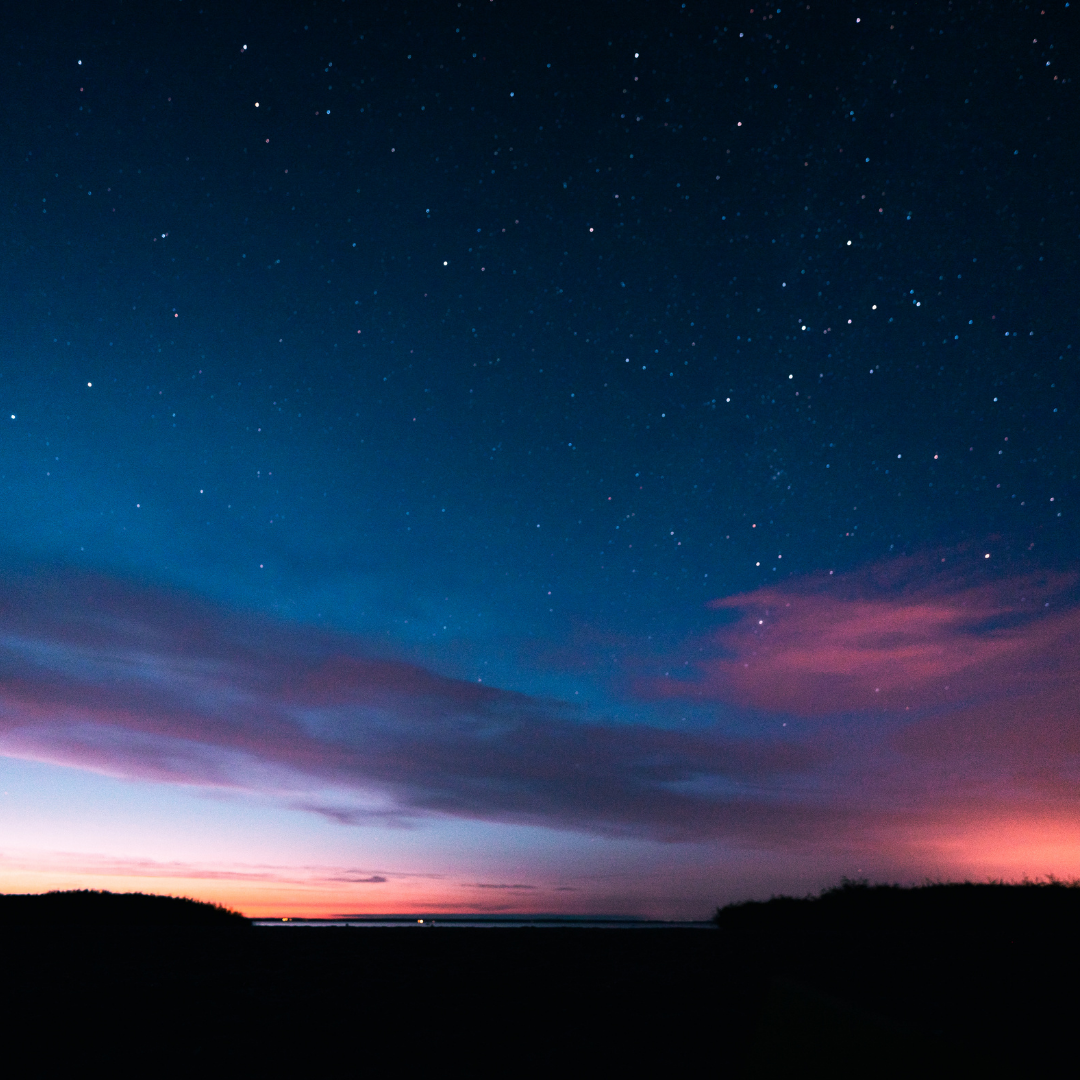 Stjernekig og bivuakbyg (1)