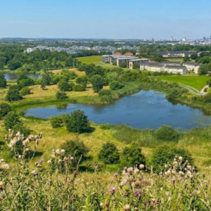 Vandretur i den bynære natur - månedens tur i juni - 22/06/26 @ 17:30 - 20:30