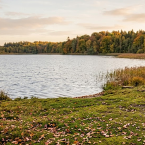 Vandring, badetur og bålhygge ved Davinde - Månedens tur i november - 08/11/26 @ 10:00 - 13:00